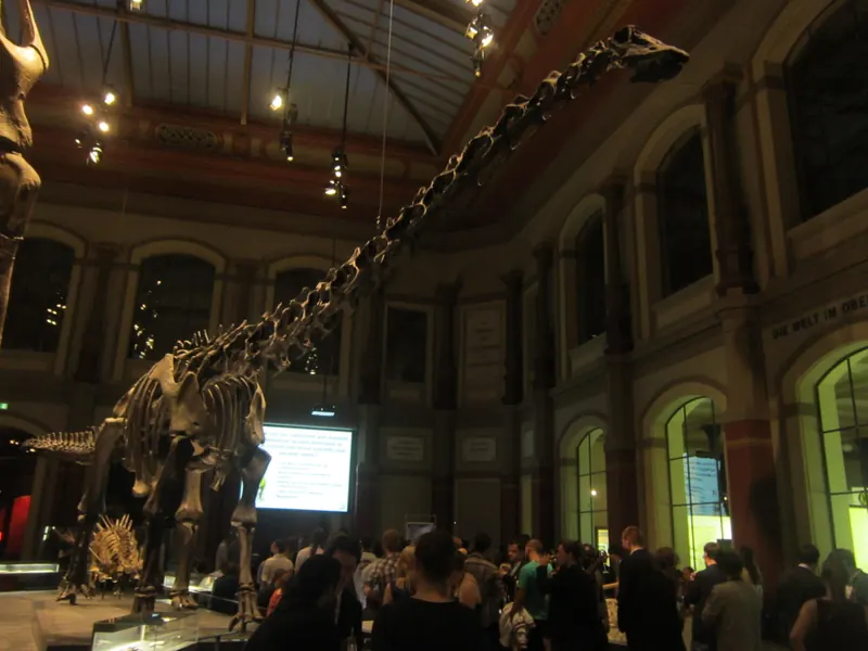 Diplodocus skeleton in the Museum für Naturkunde, Berlin