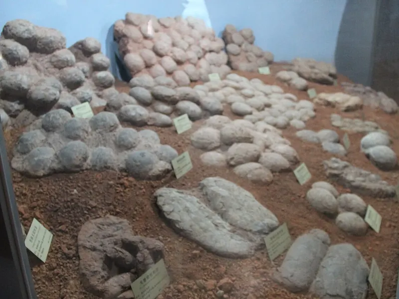 Fossil Dinosaur Eggs 01